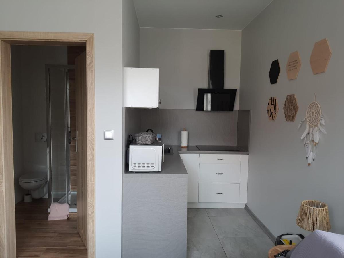 Apartamenty Deptak - W Centrum Karpacza, Parking W Cenie! Luaran gambar