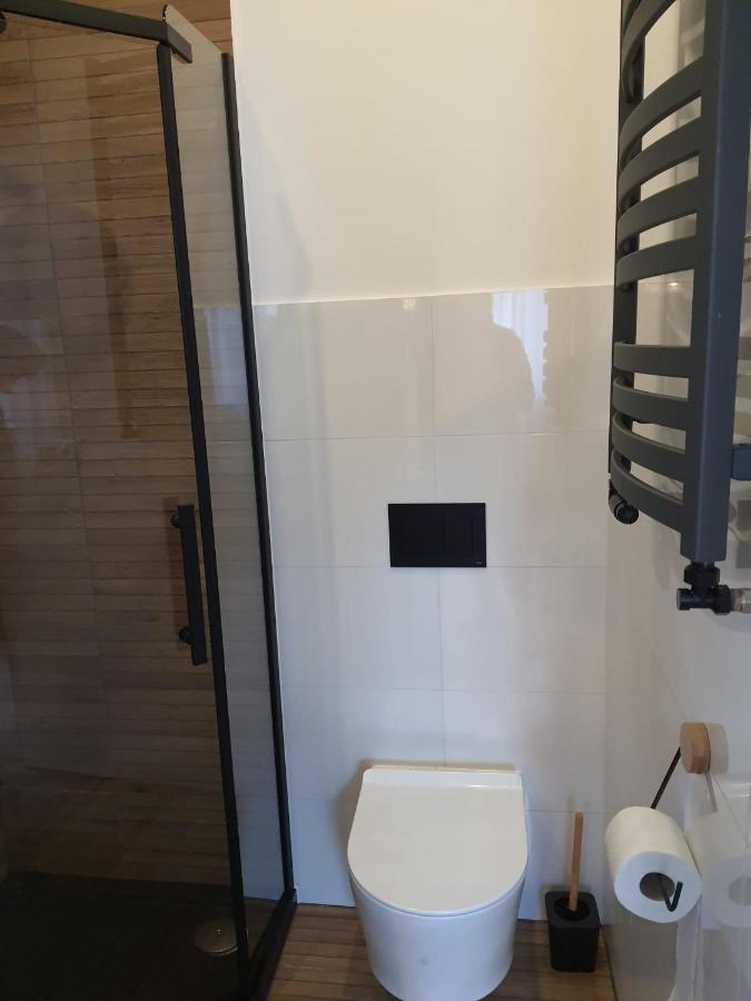 Apartamenty Deptak - W Centrum Karpacza, Parking W Cenie! Luaran gambar