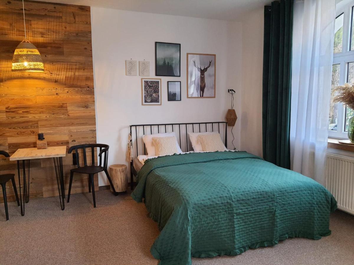 Apartamenty Deptak - W Centrum Karpacza, Parking W Cenie! Luaran gambar
