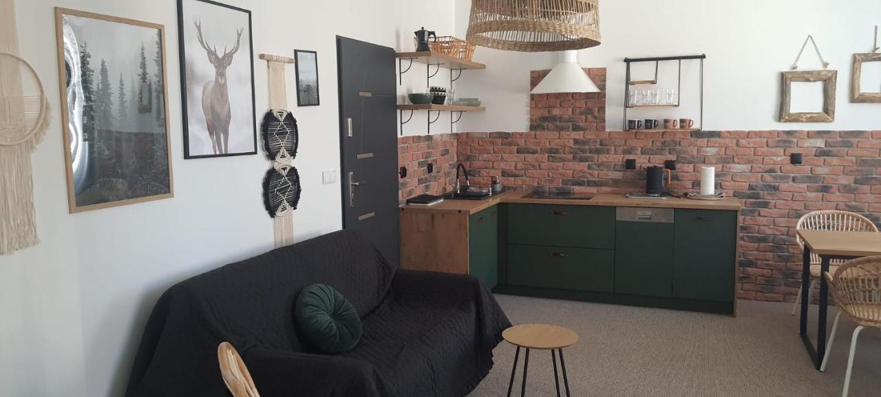 Apartamenty Deptak - W Centrum Karpacza, Parking W Cenie! Luaran gambar