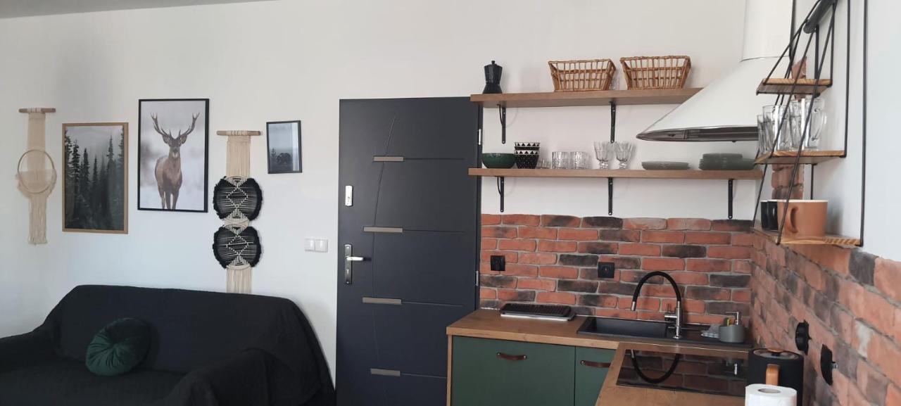 Apartamenty Deptak - W Centrum Karpacza, Parking W Cenie! Luaran gambar